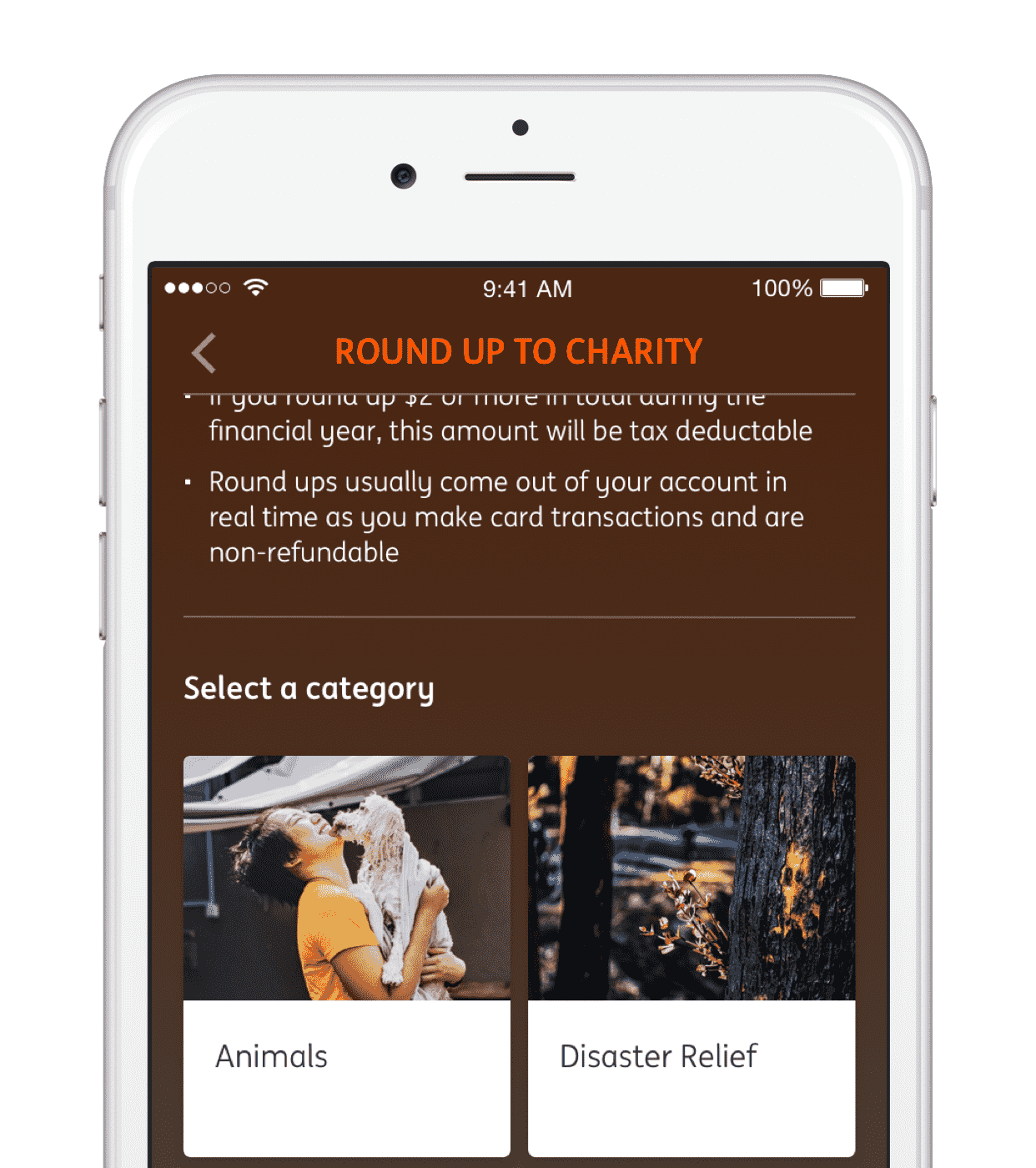 Everyday Round up ING